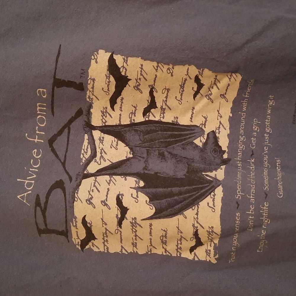 Advice from a Bat Karchner Caverns tshirt Men's XL